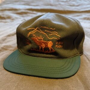 Ampal Creative Wild Places Hat - Green